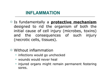 INFLAMMATION <ul><li>Is fundamentally a  protective mechanism  designed to rid the organism of both the initial cause of c...