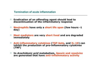 Termination of acute inflammation <ul><li>Eradication of an offending agent should lead to discontinuation of the inflamma...