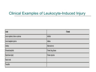 Clinical Examples of Leukocyte-Induced Injury 