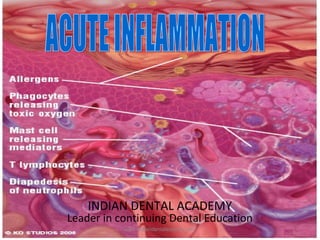 INDIAN DENTAL ACADEMY
Leader in continuing Dental Education
www.indiandentalacdemy.com
 