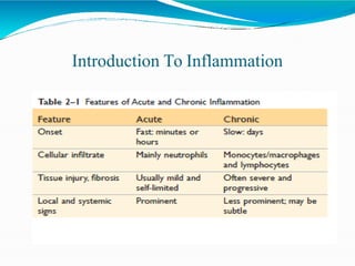 Introduction To Inflammation
 