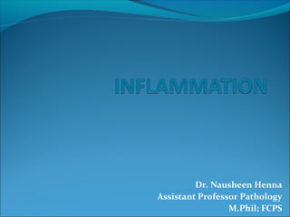 Dr. Nausheen Henna
Assistant Professor Pathology
M.Phil; FCPS
 