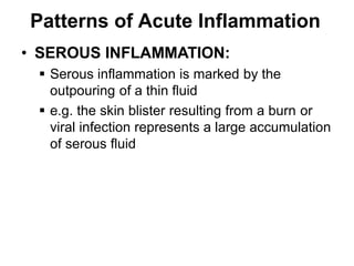 SUPPURATIVE OR PURULENT INFLAMMATION
 characterized by the production of large
amounts of pus or purulent exudate
consist...