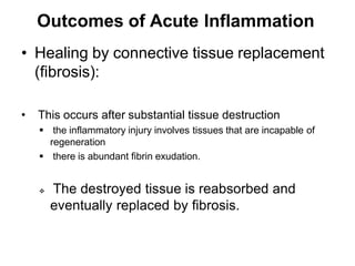 ACUTE INFLAMMATION.pptx