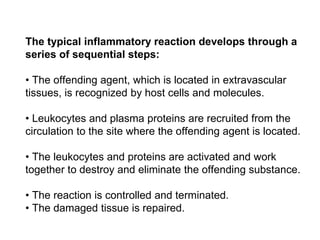 The typical inflammatory reaction develops through a
series of sequential steps:
• The offending agent, which is located i...