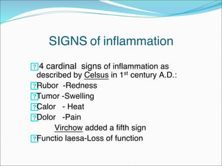 Isjkzkzkskzjzjjznznnzacute inflammation.pdf