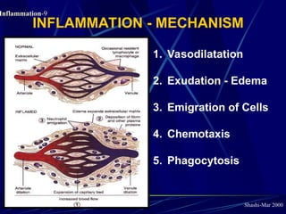 acuteinflammation essential features.ppt