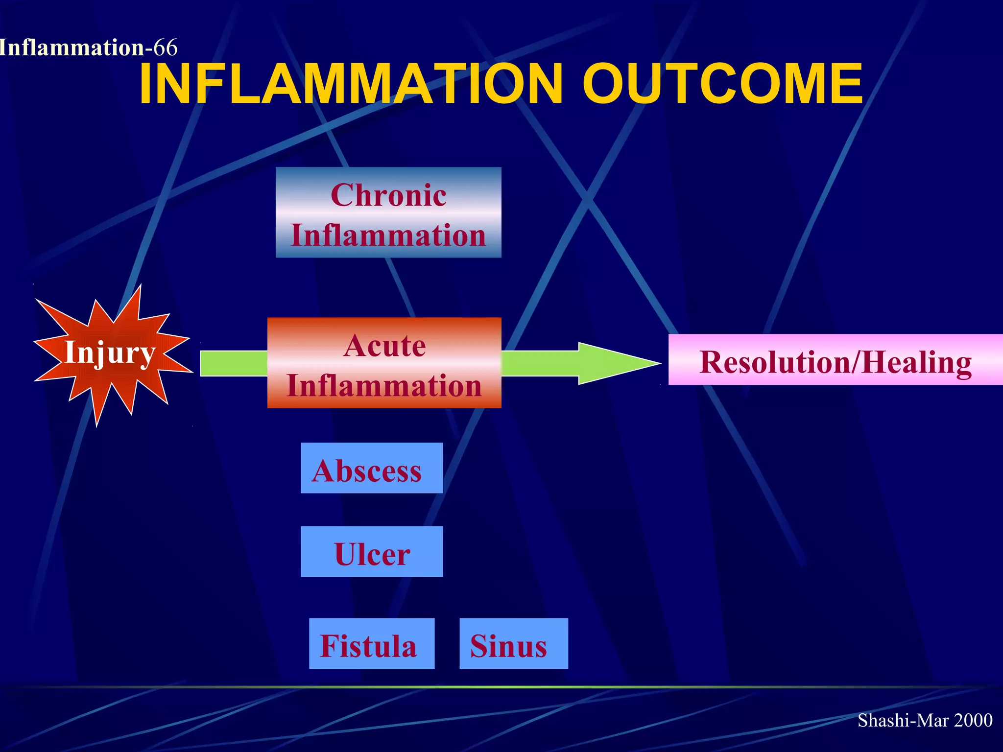 Shashi-Mar 2000
Inflammation-66
INFLAMMATION OUTCOME
Acute
Inflammation
Resolution/Healing
Chronic
Inflammation
Abscess
SinusFistula
Ulcer
Injury
 