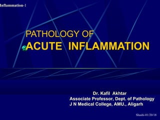 Shashi-01/20/18
Inflammation-1
PATHOLOGY OF
ACUTE INFLAMMATIONINFLAMMATION
Dr. Kafil Akhtar
Associate Professor, Dept. of Pathology
J N Medical College, AMU., Aligarh
 
