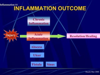 Pathology of Acute Inflammation