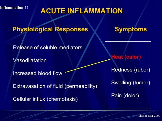 Pathology of Acute Inflammation