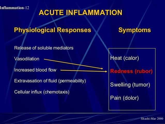 Pathology of Acute Inflammation