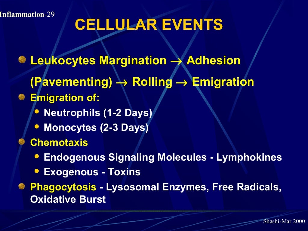 Pathology of Acute Inflammation