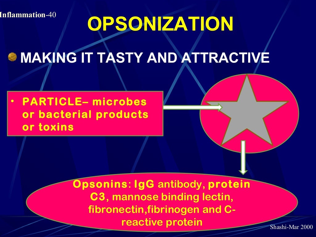 Pathology of Acute Inflammation