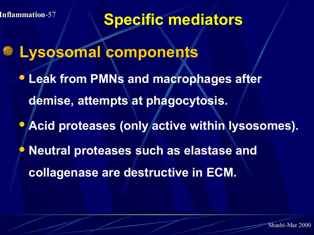 Pathology of Acute Inflammation