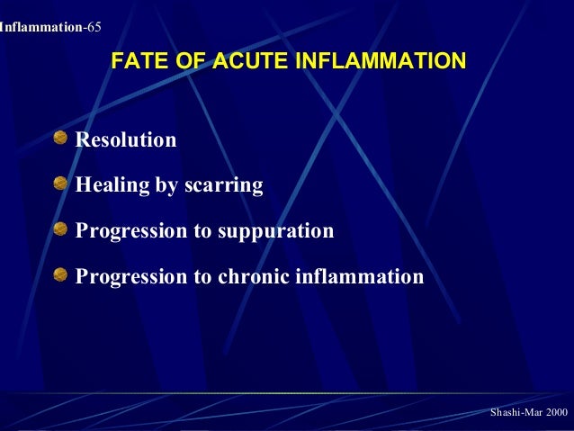 Pathology of Acute Inflammation