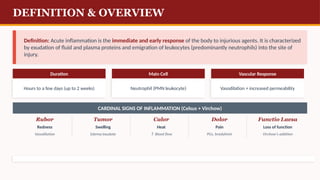 Acute_Inflammation_DNB.pptx. . | PPTX