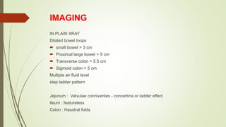 IMAGING
IN PLAIN XRAY
Dilated bowel loops
 small bowel > 3 cm
 Proximal large bowel > 9 cm
 Transverse colon > 5.5 cm
 Sigmoid colon > 5 cm
Multiple air fluid level
step ladder pattern
Jejunum : Valvulae conniventes - concertina or ladder effect
Ileum : featureless
Colon : Haustral folds
 