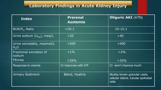 acute-kidney-disease-causes-diagnosis-and-treatment-pptx
