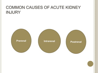 COMMON CAUSES OF ACUTE KIDNEY
INJURY
Prerenal Intrarenal Postrenal
 