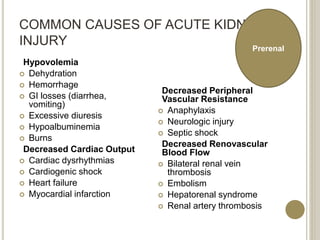 COMMON CAUSES OF ACUTE KIDNEY
INJURY
Hypovolemia
 Dehydration
 Hemorrhage
 GI losses (diarrhea,
vomiting)
 Excessive diuresis
 Hypoalbuminemia
 Burns
Decreased Cardiac Output
 Cardiac dysrhythmias
 Cardiogenic shock
 Heart failure
 Myocardial infarction
Decreased Peripheral
Vascular Resistance
 Anaphylaxis
 Neurologic injury
 Septic shock
Decreased Renovascular
Blood Flow
 Bilateral renal vein
thrombosis
 Embolism
 Hepatorenal syndrome
 Renal artery thrombosis
Prerenal
 