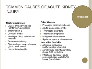COMMON CAUSES OF ACUTE KIDNEY
INJURY
Nephrotoxic Injury
 Drugs: aminoglycosides
(gentamicin, amikacin),
 amphotericin B
 Contrast media
 Hemolytic blood transfusion
reaction
 Severe crush injury
 Chemical exposure: ethylene
glycol, lead, arsenic,
 carbon tetrachloride
Other Causes
 Prolonged prerenal ischemia
 Acute glomerulonephritis
 Thrombotic disorders
 Toxemia of pregnancy
 Malignant hypertension
 Systemic lupus erythematosus
Interstitial Nephritis
 Allergies: antibiotics
(sulfonamides, rifampin),
 nonsteroidal antiinflammatory
drugs, ACE inhibitors
 Infections: bacterial (acute
pyelonephritis), viral (CMV),
fungal (candidiasis)
Intrarenal
 