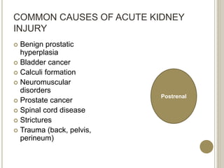 COMMON CAUSES OF ACUTE KIDNEY
INJURY
 Benign prostatic
hyperplasia
 Bladder cancer
 Calculi formation
 Neuromuscular
disorders
 Prostate cancer
 Spinal cord disease
 Strictures
 Trauma (back, pelvis,
perineum)
Postrenal
 