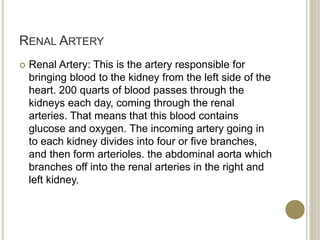 RENAL ARTERY
 Renal Artery: This is the artery responsible for
bringing blood to the kidney from the left side of the
heart. 200 quarts of blood passes through the
kidneys each day, coming through the renal
arteries. That means that this blood contains
glucose and oxygen. The incoming artery going in
to each kidney divides into four or five branches,
and then form arterioles. the abdominal aorta which
branches off into the renal arteries in the right and
left kidney.
 