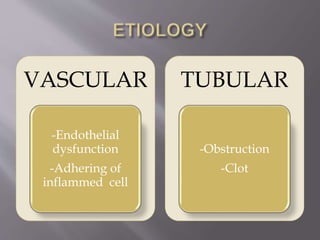 VASCULAR
-Endothelial
dysfunction
-Adhering of
inflammed cell
TUBULAR
-Obstruction
-Clot
 