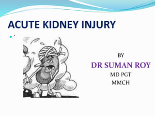 ACUTE KIDNEY INJURY
 ‘
BY
DR SUMAN ROY
MD PGT
MMCH
 