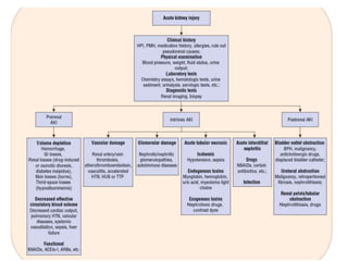 Pharmacotherapeutic approach of Acute Kidney Disease | PPTX