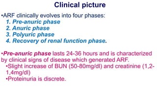 Acute Kidney Injury nephrology depart.0.pdf