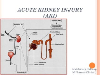 ACUTE KIDNEY INJURY
(AKI)
Abdulsalam Halboup
M.Pharma (Clinical)
 