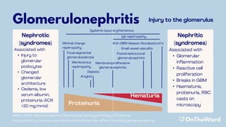 Acute Kidney Injury PowerPoint (OnTheWard.com) | PDF