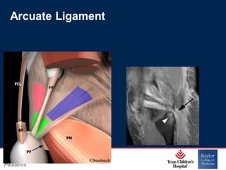Acute Knee Injuries ligaments injuries.pdf