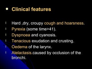 Clinical features Hard ,dry, croupy  cough and hoarsness . Pyrexia  (some time>41). Dyspnoea  and cyanosis. Tenacious  exudation and crusting. Oedema  of the larynx. Atelactasis. caused by occlusion of the bronchi. 