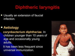 Diphtheric laryngitis Usually an extension of faucial infection. Aetiology   corynbacterium diphtheriae . In children younger than 10 years of age and occasionally young adults. It has been less frequent since  universal immunization. 