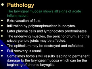 Pathology   The laryngeal mucosa shows all signs of acute inflammation: Extravasation of fluid. Infiltration by polymorphnuclear leucocytes. Later plasma cells and lymphocytes predominates. The underlying muscles, the perichondrium, and the cricoarytenoid joints may be affected. The epithelium may be destroyed and exfoliated. Full recovery is usuall. Sometimes fibrosis will results leading to permanent damage to the laryngeal mucosa which can be the beginning of chronic laryngitis. 