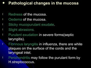 Pathological changes in the mucosa Redness   of the mucosa. Oedema  of the mucosa. Sticky mucopurulant exudate . Slight abrasions. Purulent exudation  in severe forms(septic laryngitis). Fibrinous laryngitis  in influenza, there are white plaques on the surface of the cords and the laryngeal inlet. Perichondritis  may follow the purulant form by H.streptococcus. 