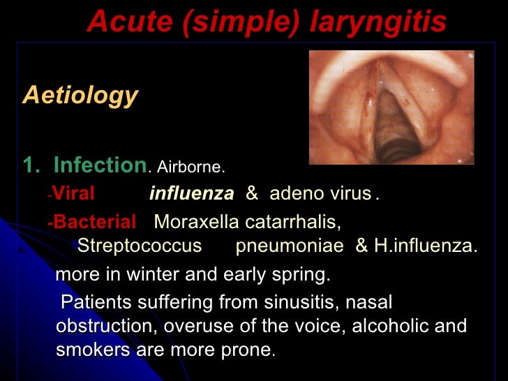 E.N.T.Acute laryngitis.(dr.usif chalabe)