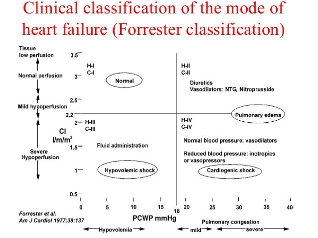 lung auscultation