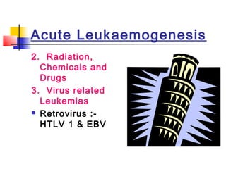 Acute Leukaemogenesis 
2. Radiation, 
Chemicals and 
Drugs 
3. Virus related 
Leukemias 
 Retrovirus :- 
HTLV 1 & EBV 
 