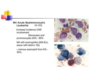 M4 Acute Myelomonocytic 
Leukemia 10-15% 
Incresed incidence CNS 
involvement 
Monocytes and 
promonocytes 20% - 80% 
M4 with eosinophilia ((M4-Eo), 
assoc with del/inv 16q 
– marrow eosinophil from 6% - 
35%, 
 
