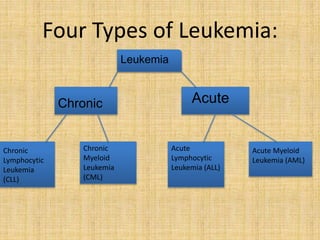 Four Types of Leukemia:
Leukemia

Chronic

Chronic
Lymphocytic
Leukemia
(CLL)

Chronic
Myeloid
Leukemia
(CML)

Acute

Acute
Lymphocytic
Leukemia (ALL)

Acute Myeloid
Leukemia (AML)

 