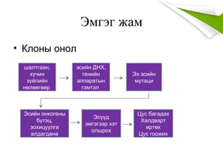 Эмгэг жам
• Клоны онол
шалтгаан,
хүчин
зүйлийн
нөлөөгөөр
эсийн ДНХ,
генийн
аппаратын
гэмтэл
Эх эсийн
мутаци
Эсийн онкогены
бүтэц,
зохицуулга
алдагдана
Эсүүд
эмгэгээр хэт
олшрох
Цус багадах
Халдварт
өртөх
Цус гоожих
 