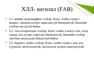 ХЛЛ- ангилал (FAB)
• L1- жижиг мономорфик хэлбэр- бласт эсийн хэмжээ
жижиг, ганцхан ялгарч харагдахгүй бөөмхөнтэй, бөөмийн
хэлбэр зөв дугуй байна
• L2- том гетерогеник хэлбэр- бласт эсийн хэмжээ том, олон
тооны тод ялгарч харагдах бөөмхөнтэй, бөөмийн хэлбэр
зөв биш шахагдсан байдалтай байна
• L3- буркитт эсийн хэлбэр- бласт эсийн хэмжээ том, илт
суурилаг цитоплазмтай, цитоплазм дотроо ваколиудтай
 