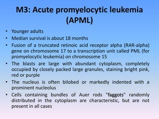 acuteleukemiacomplt-161017163342.pdf