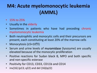 M4: Acute myelomonocytic leukemia
(AMML)
• 15% to 25%
• Usually in the elderly
• Sometimes in patients who have had preceding chronic
myelomonocytic leukemia
• Both neutrophilic and monocytic cells and their precursors are
present, each constituting at least 20% of the marrow cells
• Monocytosis (≥5×10⁹/l)
• Serum and urine levels of muramidase (lysozyme) are usually
elevated because of the monocytic proliferation
• Positive reactions for Sudan black B, MPO and both specific
and non-specific esterase
• Positivity for CD13, CD33, CD11b and CD14
• inv(16) (p13; q22) and del (16)(q22)
 