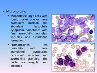 • Morphology:
 Monoblasts: large cells with
round nuclei, one or more
prominent nucleoli and
abundant basophilic
cytoplasm, sometimes with
fine azurophilic granules,
vacuoles, and pseudopod
formation
 Promonocytes: less
basophilic and more
granulated cytoplasm,
occasional vacuoles and
azurophilic granules. The
nuclei are irregular and
indented
 