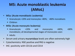 M5: Acute monoblastic leukemia
(AMoL)
• M5a: (Acute monoblastic Leukemia)
 Granulocyte <20% and monocytes >80%; >80% monoblasts
 Children
• M5b: (Acute monocytic leukemia)
 Granulocyte <20% and monocytes >80%; <80%
monoblasts; all developmental stages of monocytes seen
 Adults
• Serum and urinary muramidase levels are often extremely high
• Cytochemistry: NSE positive and PAS is negative
• IHC: positivity with CD11b and CD14
 